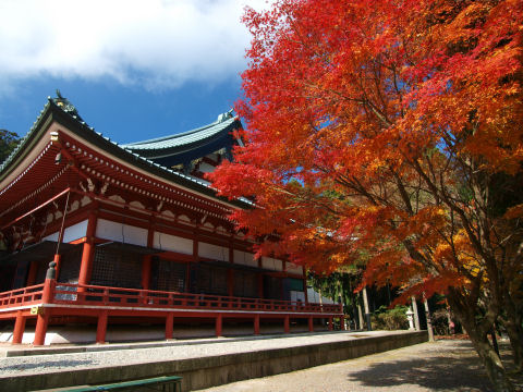 お堂の朱と紅葉の紅