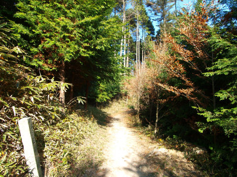 こんな道も見慣れてきた