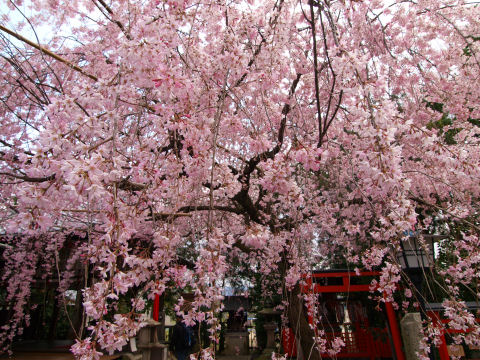 ちょっと近づいて撮影