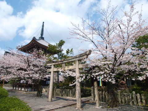 境内には摩利支天が祀られる
