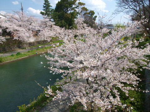 去年も来ました