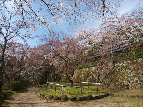 参拝客は残念そう