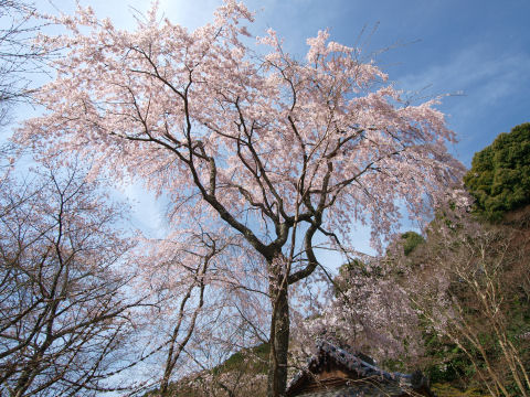 ちょっと横から