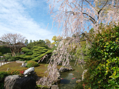 離宮の庭の入口