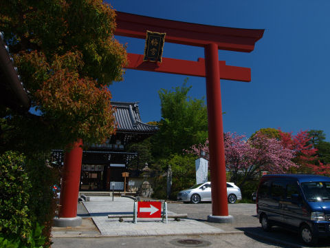 わざとらしいほど鮮やかな青と赤