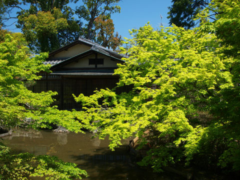 京都はどこ行っても紅葉あるなあ
