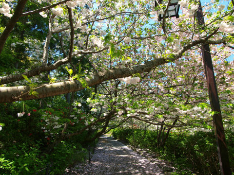 道はしばらく続く