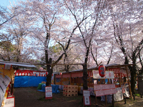 屋台が多いし作りもしっかりしてる