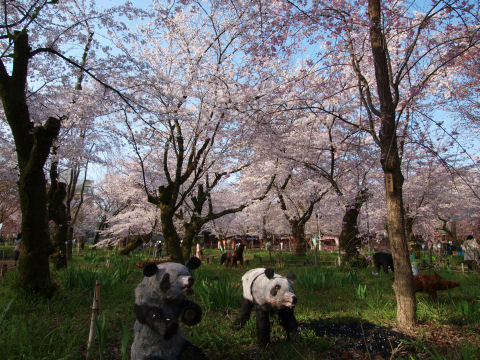 動物のオブジェ