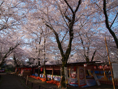 陽が低くてちょっと暗い