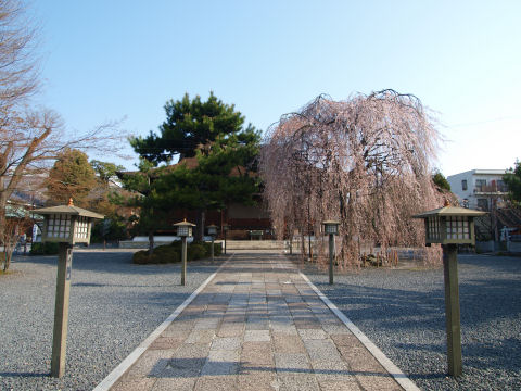 山門くぐった辺りから