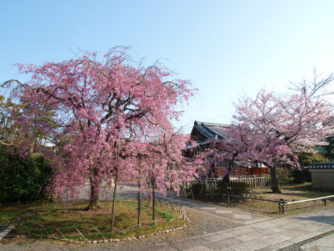 北の方をを向いて撮影