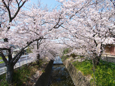 名所でなくても十分きれい