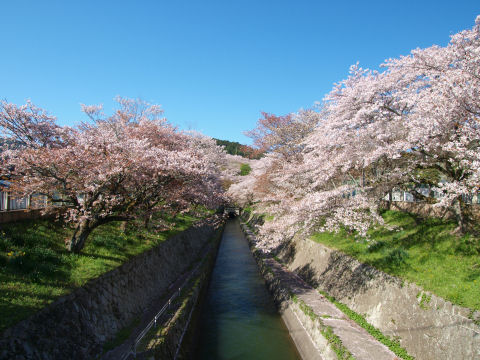自分は三脚使っていない