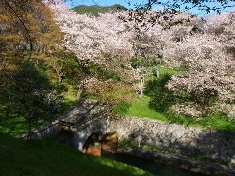 この門が閉まることはあるのだろうか