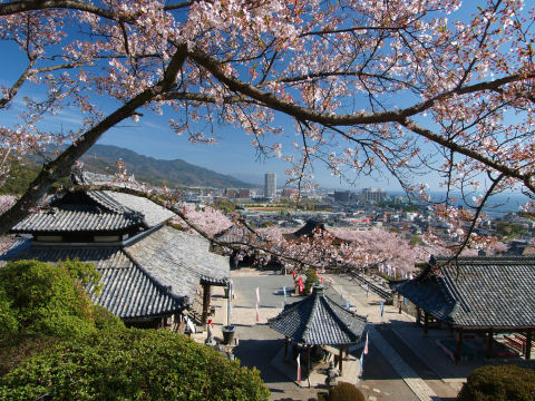 とはいえたまーに人は通る