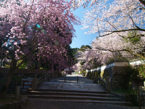 毘沙門堂・観音堂方面