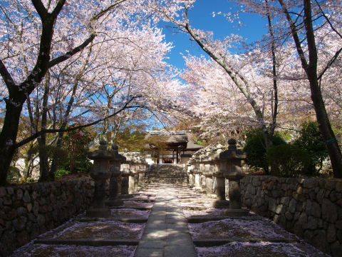 若干手前が暗いが，いい感じ