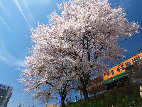 旧東海道線の車両だよな・・・