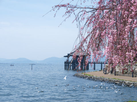 桜を入れつつ・・・