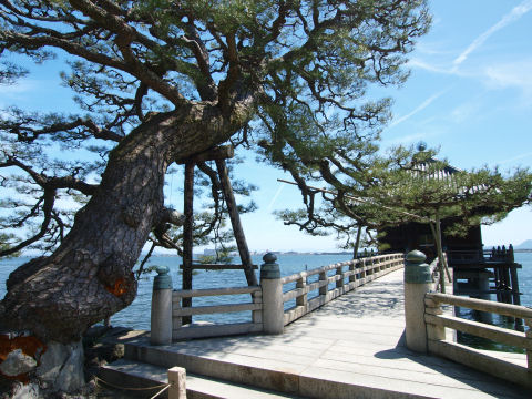 手前にデカい松がある