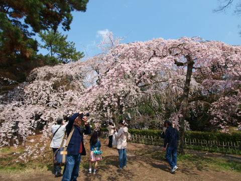 ここは人いっぱい