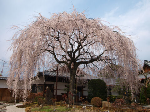 全体が入るように