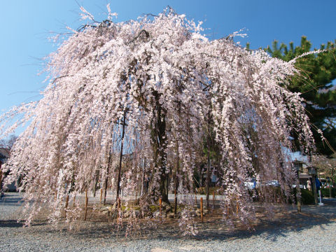 ただ人はいてしまう