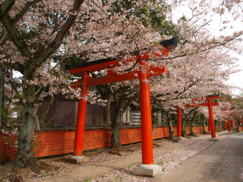 青空だったらなあ