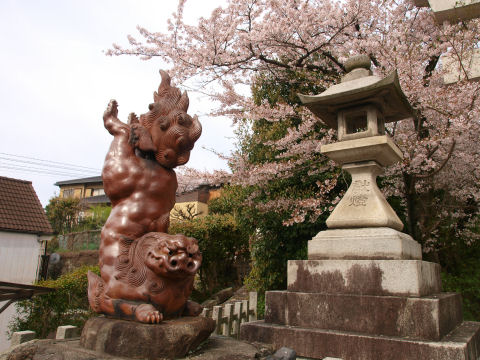 昼飯で揃えたかったが・・・