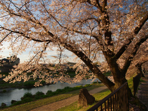 ベストタイミング！