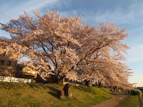 のんびりしている人も何人か