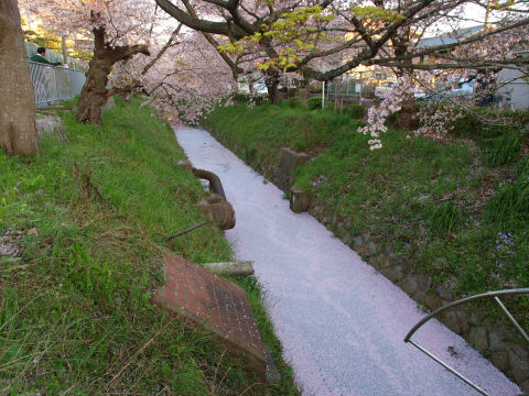 すきまなく埋まってる