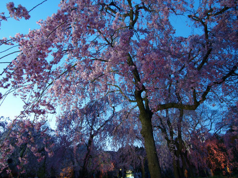 露出が長いため空が大分明るく見える