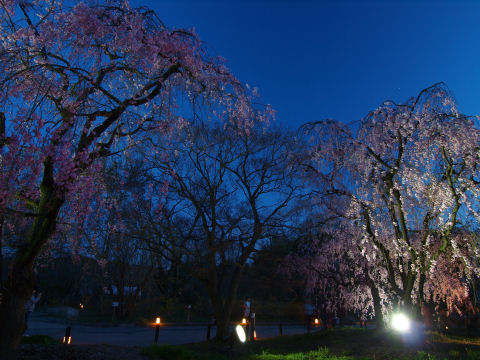 濃い青の空がよい