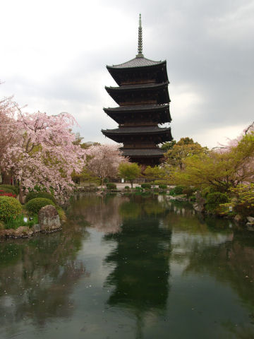 奇跡的に人がいない