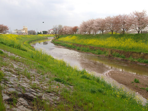 この日最もまともなショット