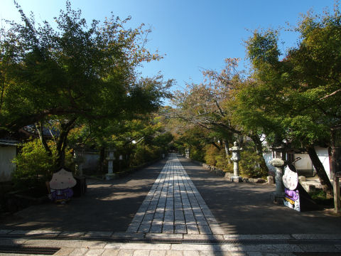 ゆるきゃらのお出迎え