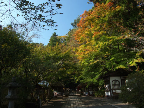 紅葉がはじまってる
