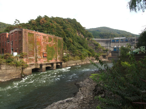 ツタが妖しさを増している