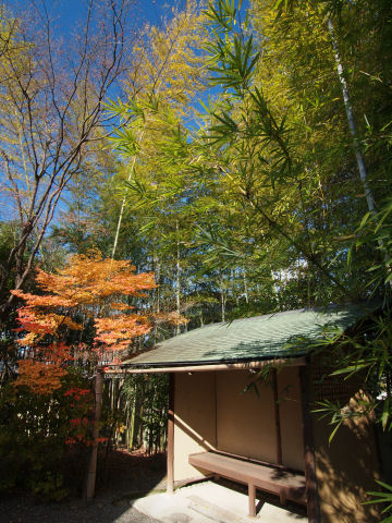 休憩所に紅葉に竹