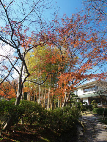 向こうは美術館