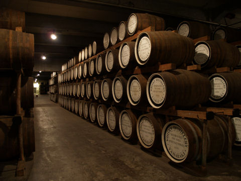 熟成．樽がずらっと並ぶ