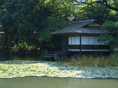 これまた水上に