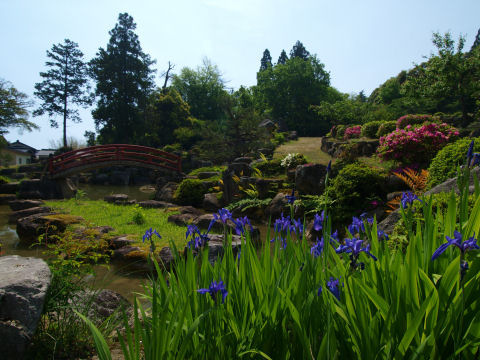 写真で見ると実際とは見違えてる