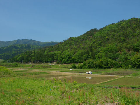 トラックが水田に反射