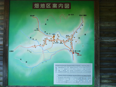 林，西澤，川端