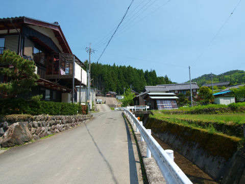 ほとんど林さんなのか