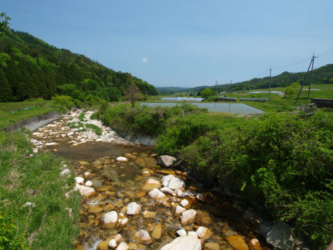 丸い石ごろごろ