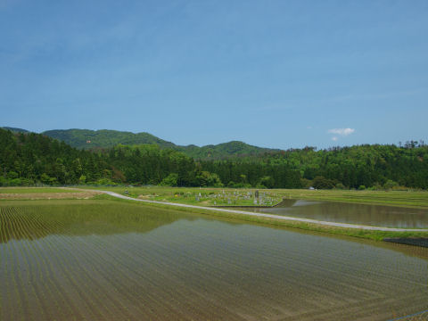 何もないところに墓があるのは田舎っぽい